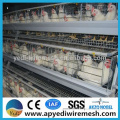 High quality !!!Layer Chicken layer quail cages for Sale